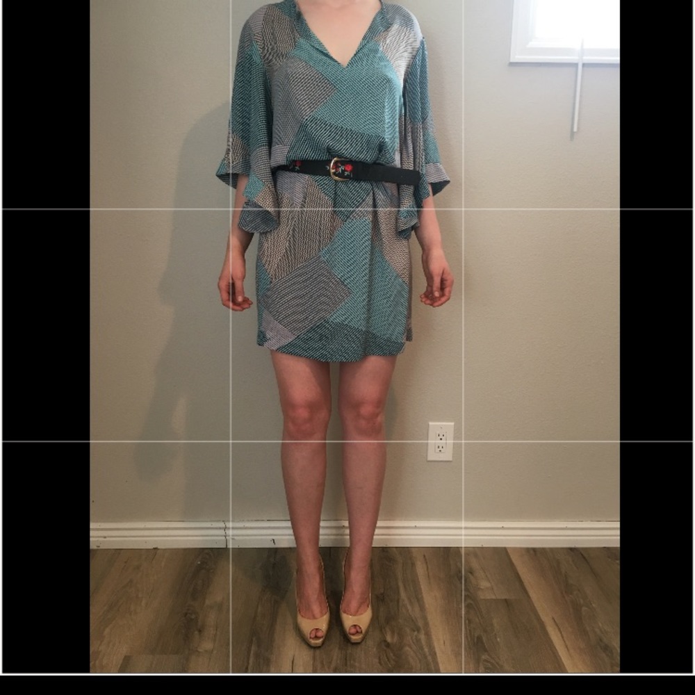 BCBG Max Azria Mini dress